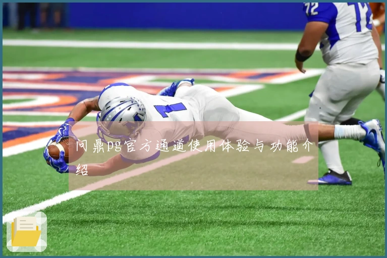 问鼎pg官方通道使用体验与功能介绍