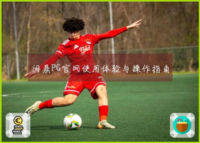 问鼎PG官网使用体验与操作指南