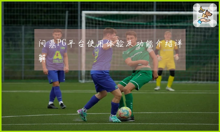 问鼎PG平台使用体验及功能介绍详解